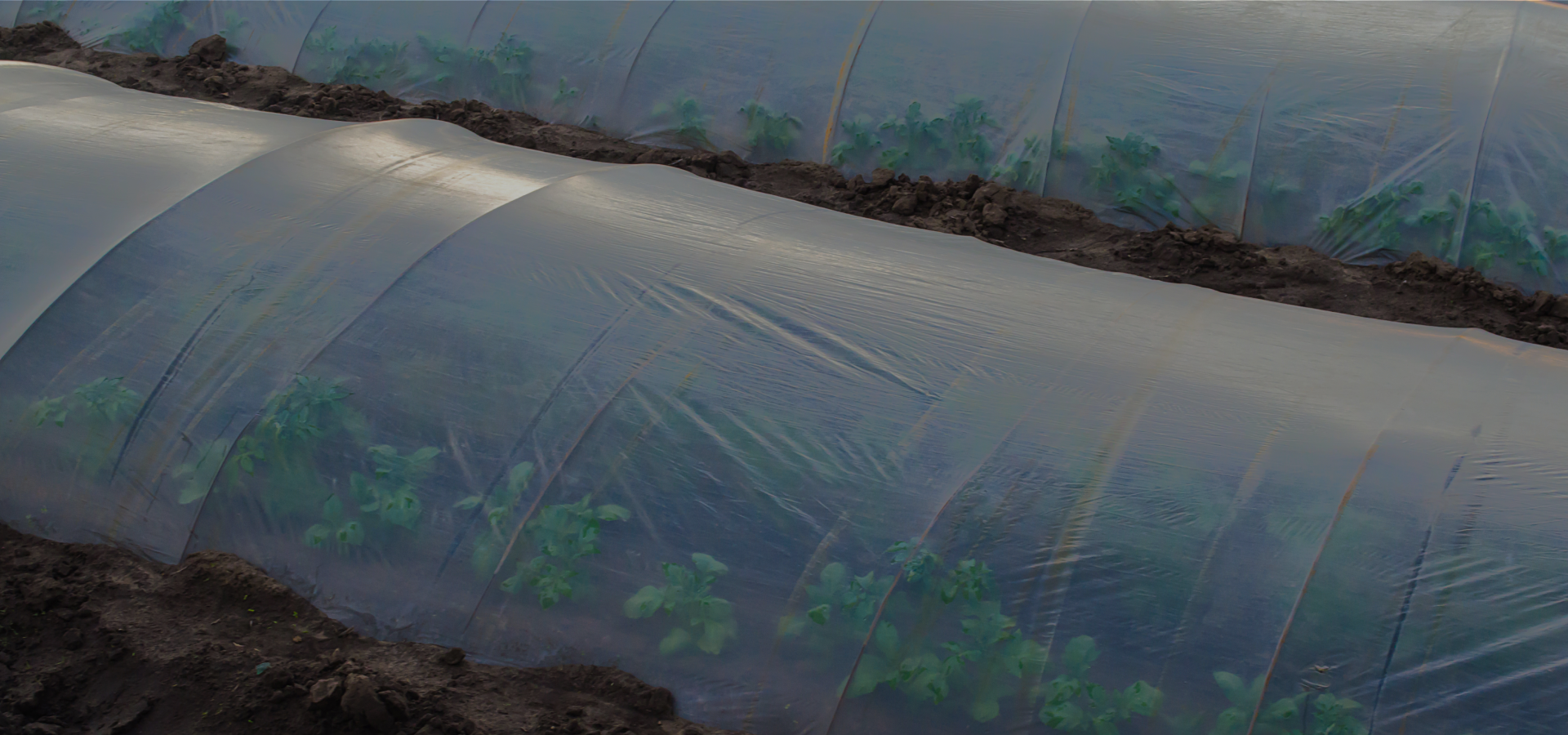 Super Polymers Product Visual