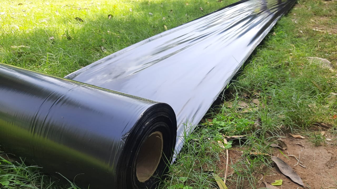 agriculture mulching sheet black silver ldpe roll india